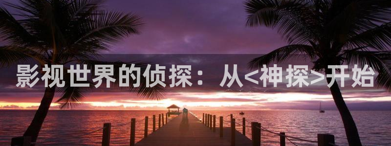 黑螞蟻電視劇全集觀看：影視世界的偵探：從<神探>開始
